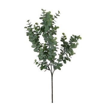 Eucalyptus kunstbloemen takken 65 cm decoratie - Kunstbloemen