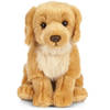 Pluche Golden Retriever honden knuffel 20 cm zittend - Golden Retriever huisdieren knuffels - Speelgoed