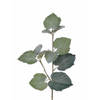 Groene Tilia Grape kunsttak 50 cm - Kunstbloemen