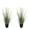 2x Groene Dogtail siergras kunstplanten 53 cm met zwarte pot - Kunstplanten