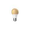 Blokker LED Bulb A60 35We27 Flame