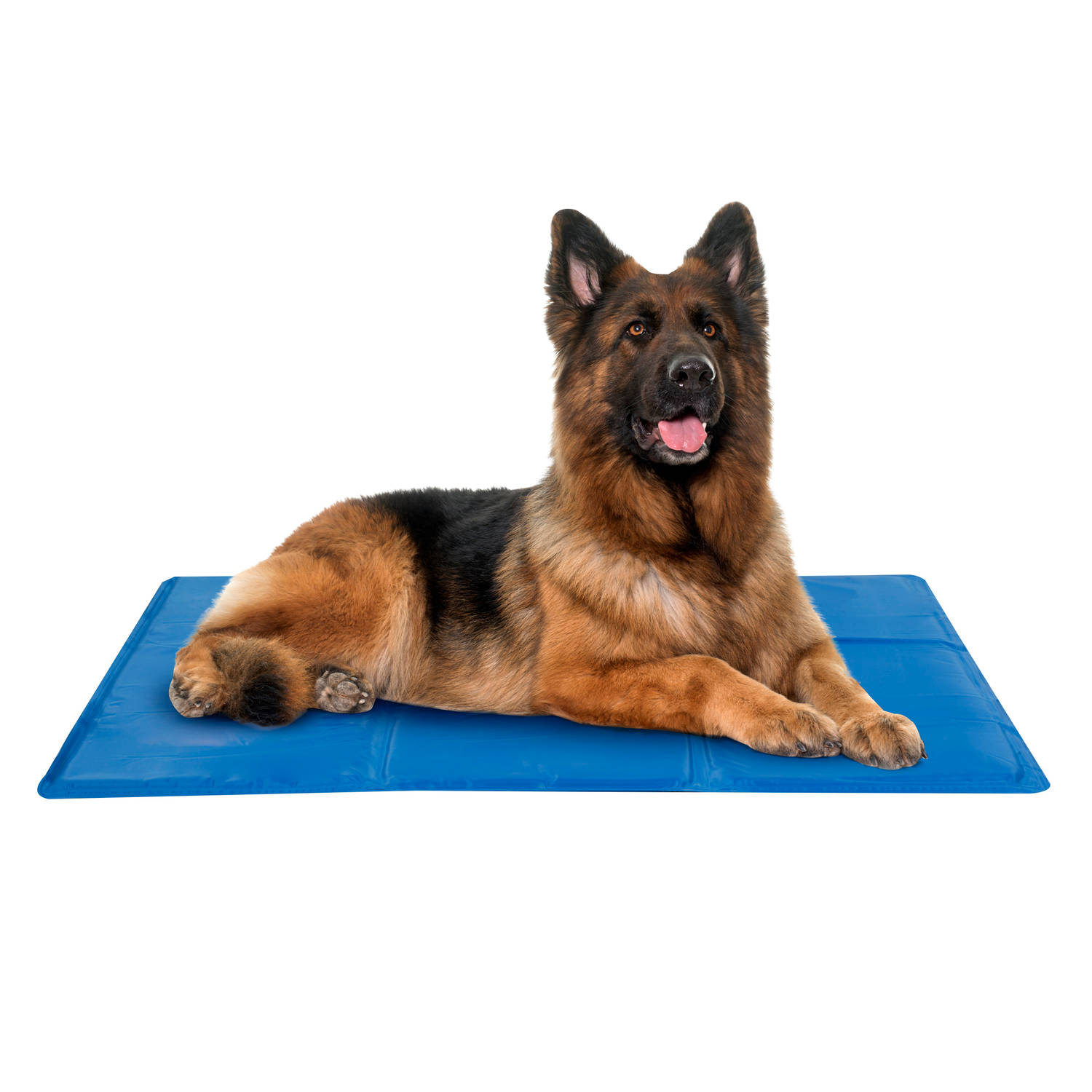 schraper verband hoorbaar Pet Comfort Koelmat voor de Hond - Maat XL - 60 x 80 cm | Blokker