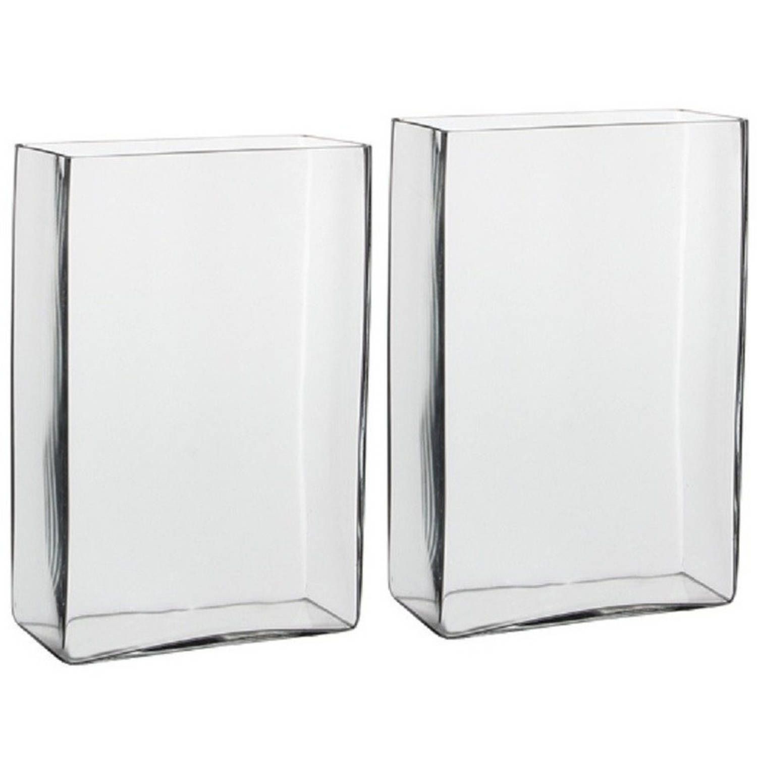 Voorbeeld zuiden Ongeschikt 2x Hoge glazen vaas transparant glas rechthoekig 20 x 10 x 30 cm - Vazen |  Blokker