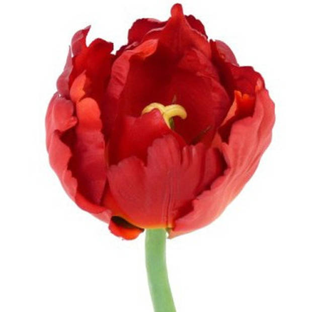 Belatio Flowers & plants Kunstbloem tulp deluxe - rood - 25 cm - Kunstbloemen