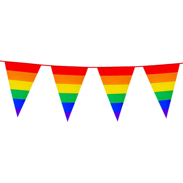 2x Stuks Boland PE vlaggenlijn - 8m - Regenboog - Universeel Thema - Vlaggenlijnen