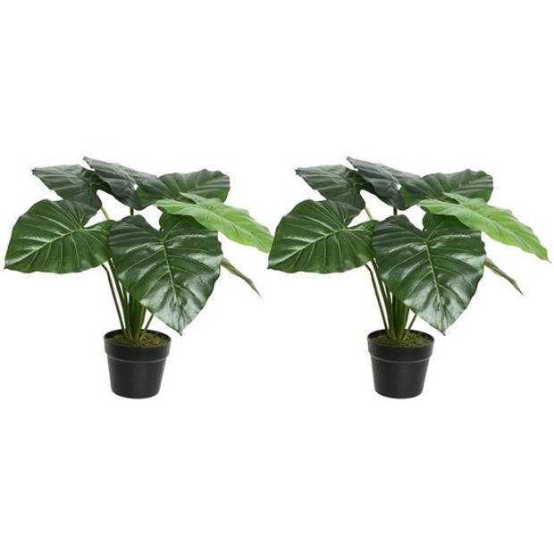 2x Groene taro kunstplanten 52 cm met zwarte pot - Kunstplanten