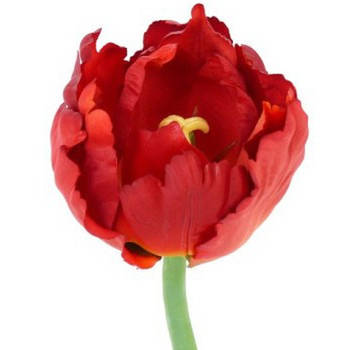 Tulp rood deluxe 25 cm Kunstbloem - Kunstbloemen