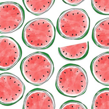 20x feest servetten met watermeloen opdruk 33 cm - Feestservetten
