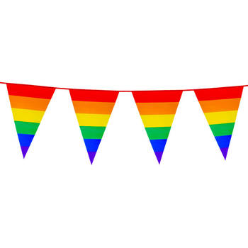 Boland PE vlaggenlijn - 8m - Regenboog - Universeel Thema - Vlaggenlijnen