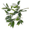 Kunstplant takken laurierblad tak van 48 cm - Kunstbloemen