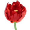 Belatio Flowers & plants Kunstbloem tulp deluxe - rood - 25 cm - Kunstbloemen