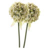 2 x Kunstbloemen steelbloem witte sierui 70 cm - Kunstbloemen