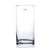 Glazen vaas transparant 12 x 25 cm - Vazen