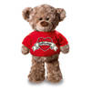 Beterschap pluche teddybeer knuffel 24 cm met rood t-shirt - Knuffelberen