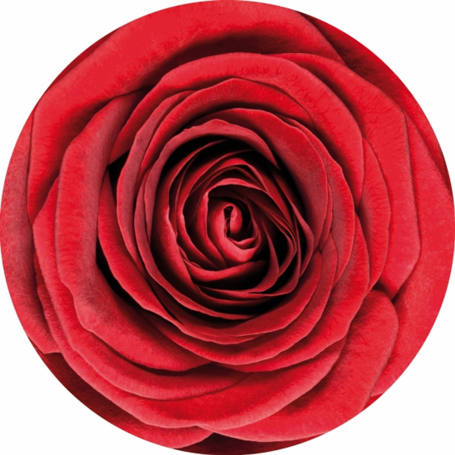 30x Onderzetters met rode roos bloemen - Bierfiltjes