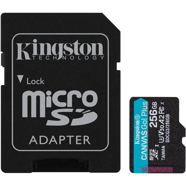 Canvas Go! Plus microSDXC 256 GB