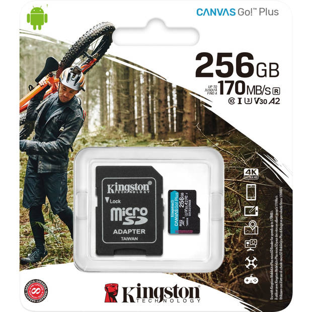 Canvas Go! Plus microSDXC 256 GB