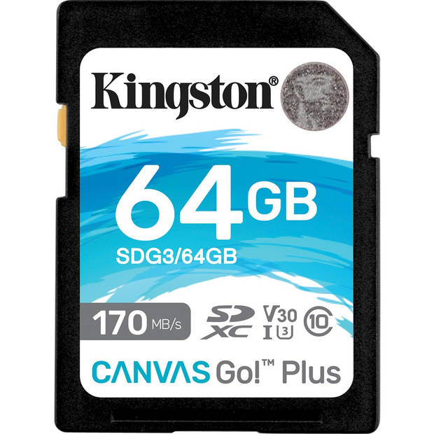 Canvas Go! Plus SDXC 64 GB