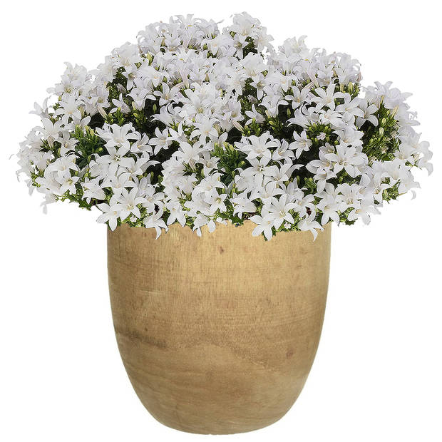 2x Ronde houten plantenbak/bloemenbak 16 en 26 cm - Plantenpotten