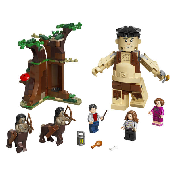 LEGO Harry Potter Het Verboden Bos: Omber's ontmoeting met Groemp - 75967