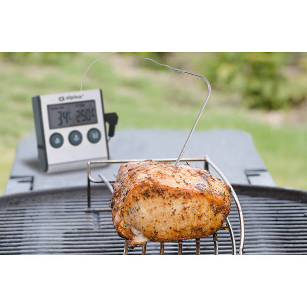 Alpina vleesthermometer digitaal en timer zilver 15 cm