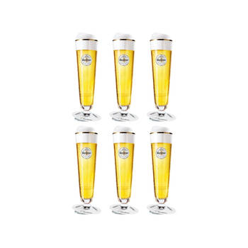 Warsteiner Bierglazen op Voet - 300 ml - 6 stuks