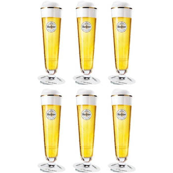 Warsteiner Bierglazen op Voet - 200 ml - 6 stuks