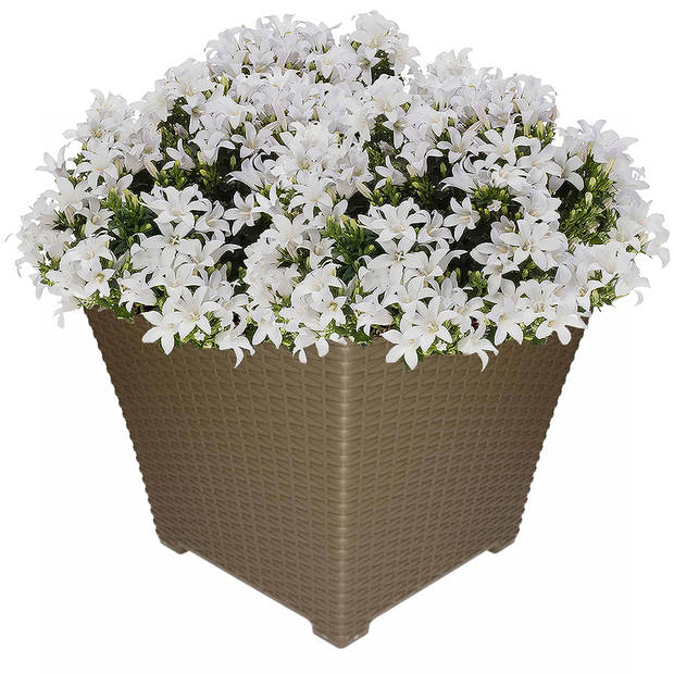1x Taupe plantenbakken/bloembakken 37 cm - Plantenpotten
