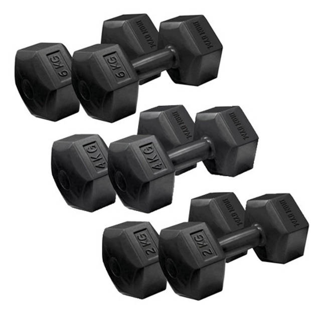 Iron Gym Dumbbell Set 2 x 6 kg, gewichten krachttraining fitness accessoires