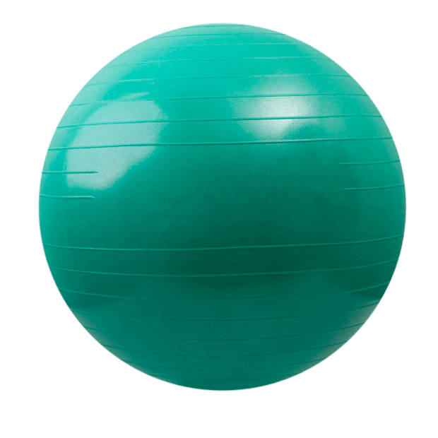 Matchu Sports Fitnessbal 65cm