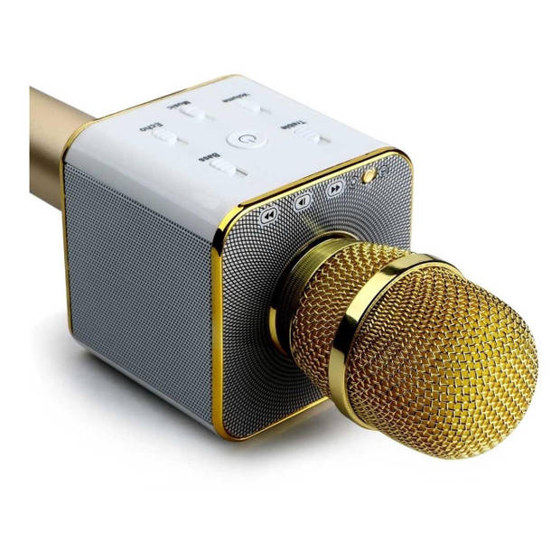 Parya - Karaoke Microfoon - bluetooth
