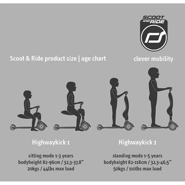 Scoot and Ride step Highwaykick 1 - Ash