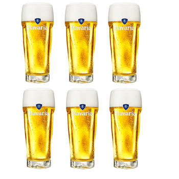 Bavaria Bierglazen - 250 ml - 6 stuks