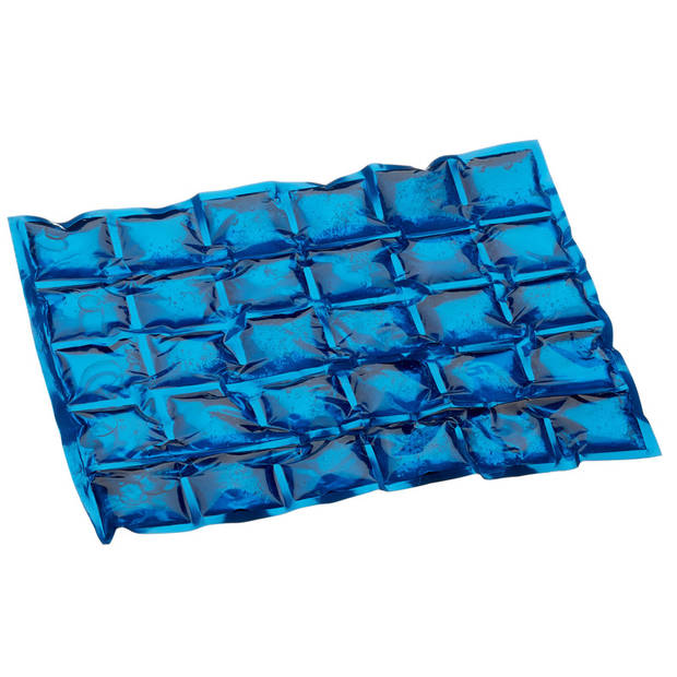 Voordelige flexibele blauwe koelbox 24 liter met 3x flexibele koelelementen - Koelboxen
