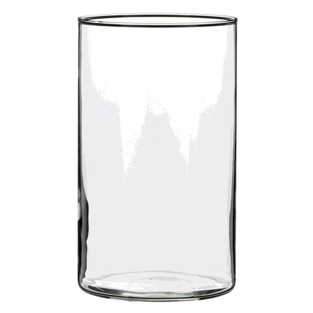 1x Ronde glazen cilinder vaas/vazen transparant 20 cm lang - Vazen