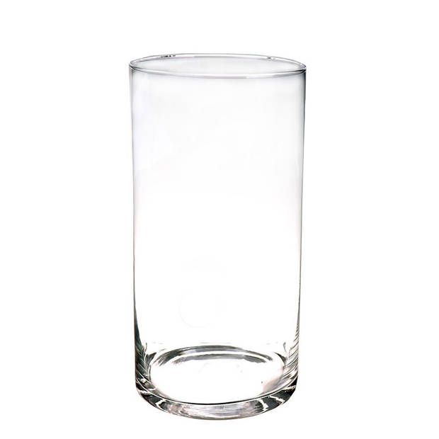 1x Ronde glazen cilinder vaas/vazen transparant 30 cm hoog - Vazen