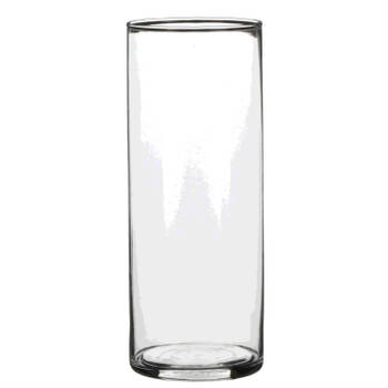 1x Ronde glazen cilinder vaas/vazen transparant 24 cm lang - Vazen