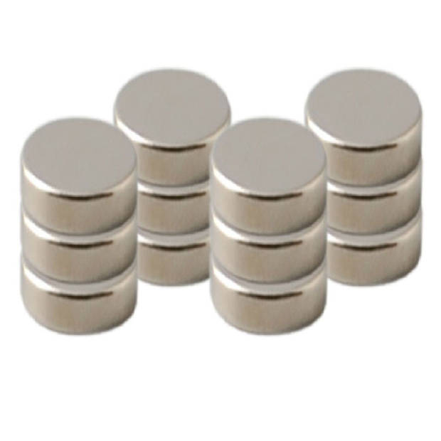 12x Ronde koelkast/whiteboard magneten 8 mm zilver - Magneten