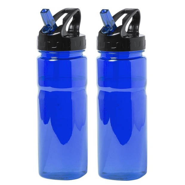 2x Drinkfles/waterfles blauw met schroefdop 650 ml - Drinkflessen