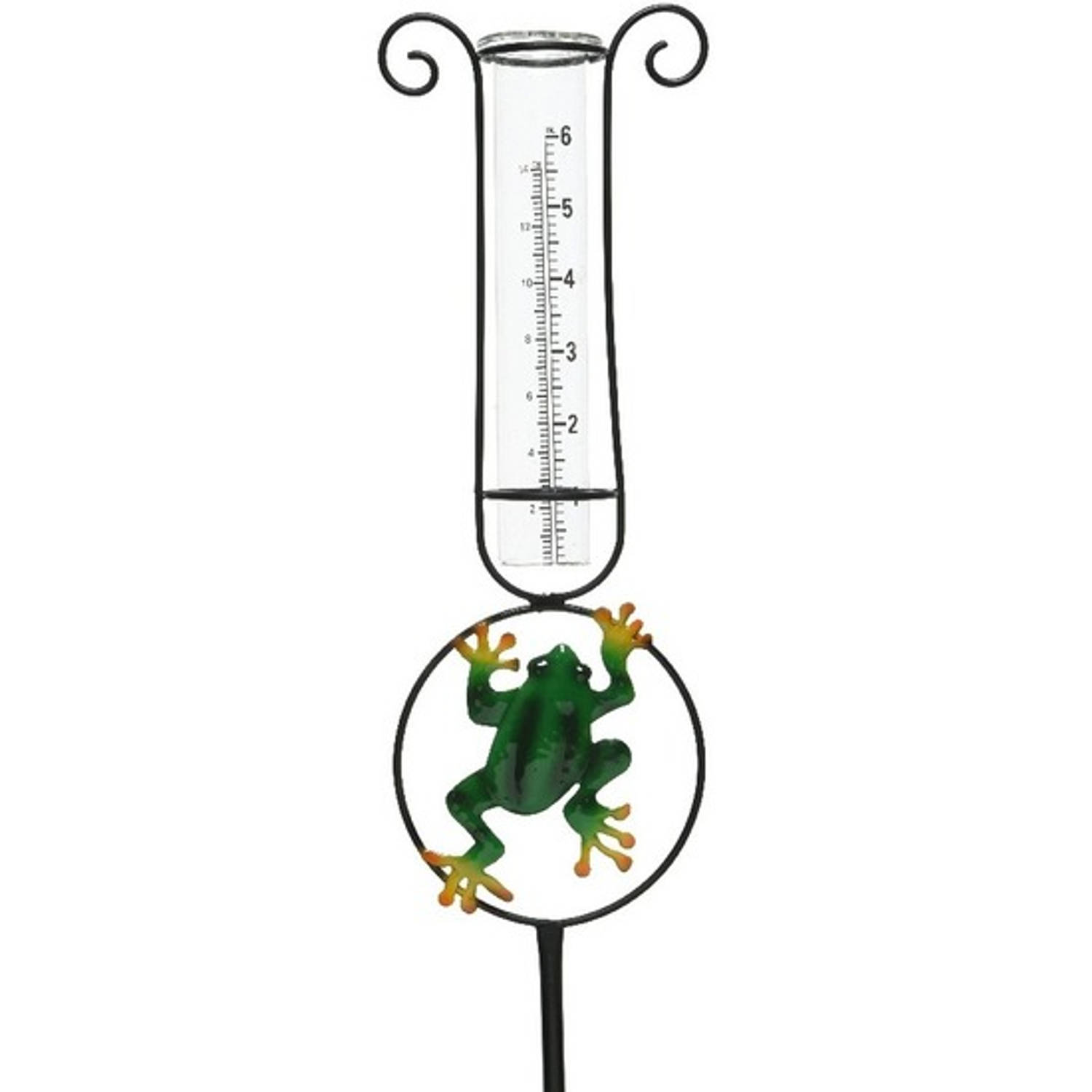 Beschrijvend Omringd beoefenaar Regenmeter 33 cm met kikker decoratie - Regenmeters | Blokker
