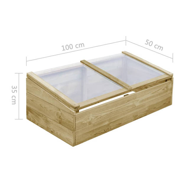 The Living Store Hobbytuin Houten Kweekkassen - 100 x 50 x 25/35 cm - Naturel - Geïmpregneerd grenenhout - Met