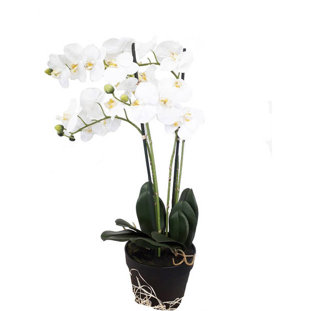 Levensechte Kunst Orchidee / Phalaenopsis plant 75 cm met pot - Witte kunst orchidee - Kunstplanten