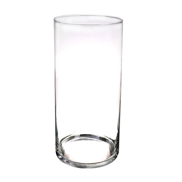 Glazen vaas/vazen transparant 40 x 19 cm - Vazen