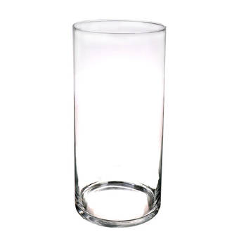 Glazen vaas/vazen transparant 60 x 19 cm - Vazen