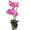 Levensechte Kunst Orchidee / Phalaenopsis plant 75 cm met pot - Roze kunst orchidee - Kunstplanten