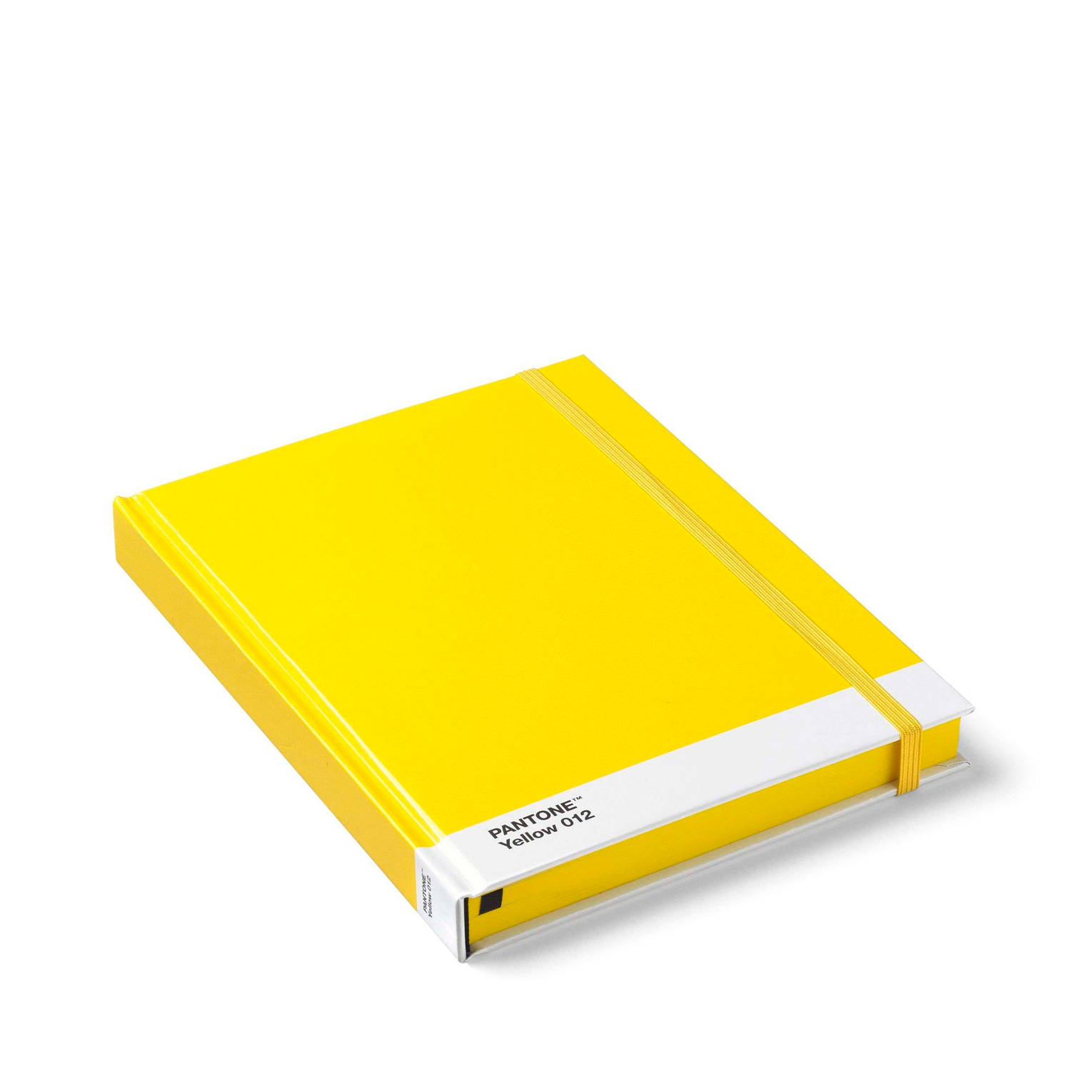 Pantone notitieboek 22 x 17 cm papier geel