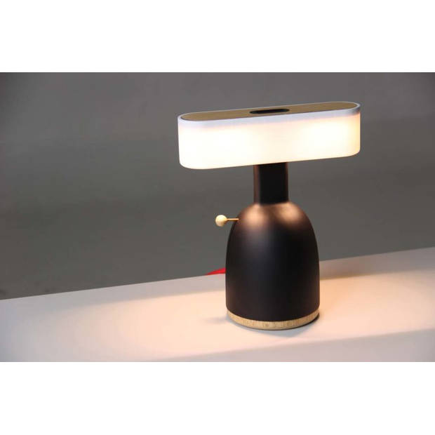 DINA Bureaulamp CoinLamp LED - Spaarpot Lamp