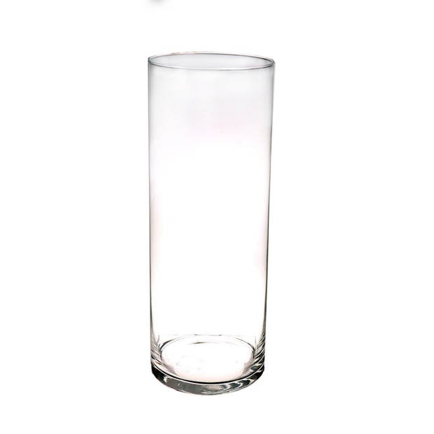 Set van 2x stuks hoge glazen vazen transparant 40 x 15 cm - Vazen