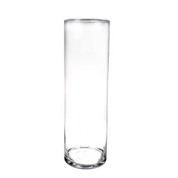 Hoge glazen vaas/vazen transparant 50 x 15 cm - Vazen