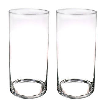 Set van 2x stuks glazen vaas/vazen transparant 60 x 19 cm - Vazen